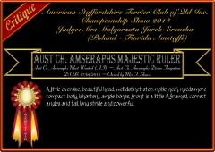 Amseraphs Majestic Ruler.png